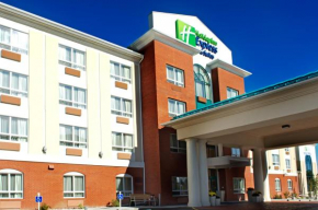 Holiday Inn Express Hotel & Suites Edson, an IHG Hotel